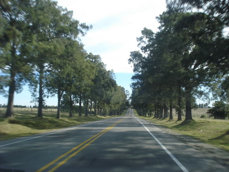 R1_03.jpg