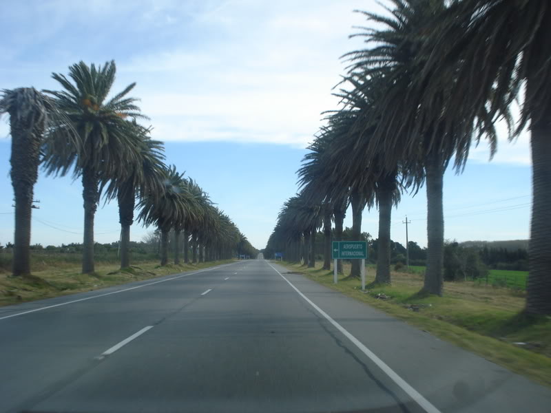 R1_04.jpg