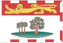 PE_flag.png