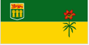 S_flag.png