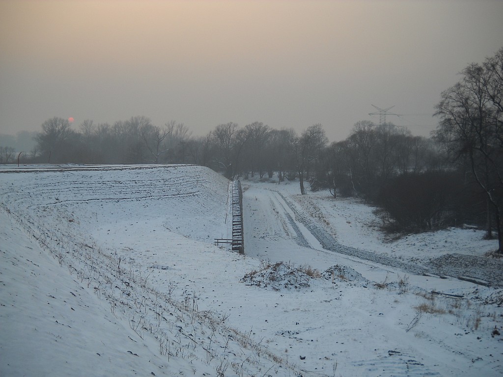 DSCN6424.jpg