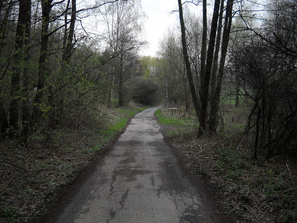 DSCN6970.jpg