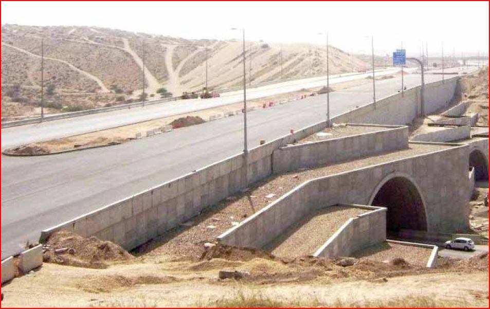 MCT%20expressway.jpg