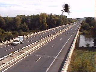 camera905_120926132742 pavouček.jpg