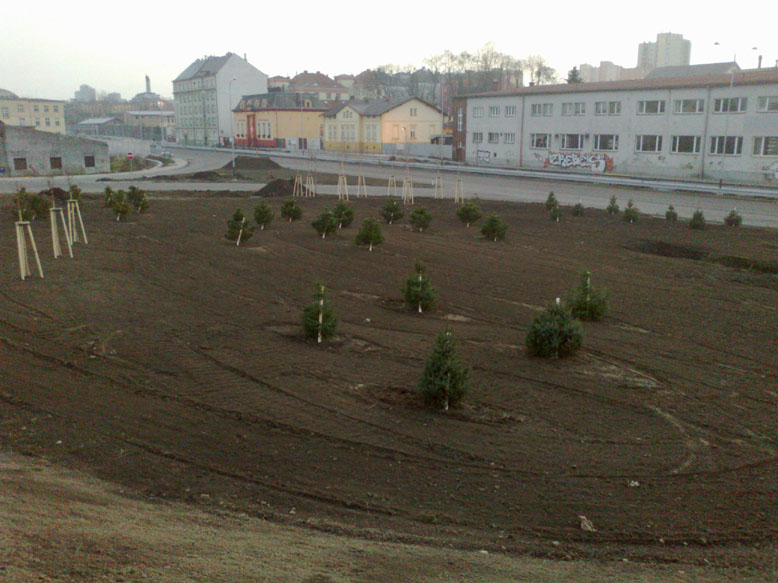 25112012344.jpg