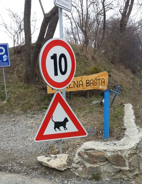 kočičí značka.jpg