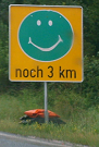 noch3.png