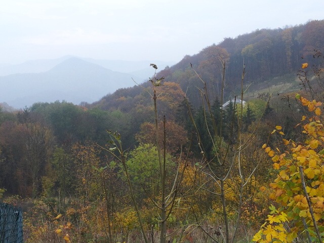 2013-10-20 16.06.53.jpg