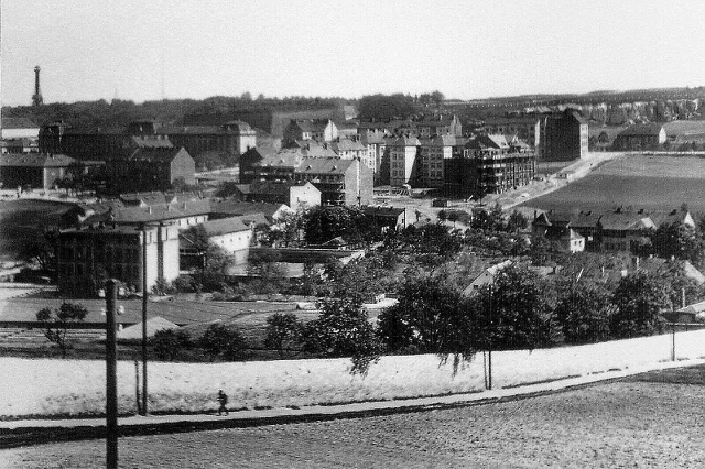 hadej11 .jpg