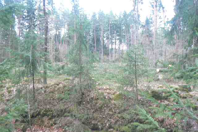 Pohled směrem k exitu Úsilné. Foceno přes úvozovou cestu, po které vede modrá a zelená turistická značka.