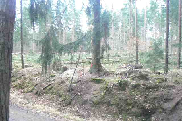 První pohled na průsek, který se vyskytne, když přijdete od Borku a vylezete si na břeh nad cestou.