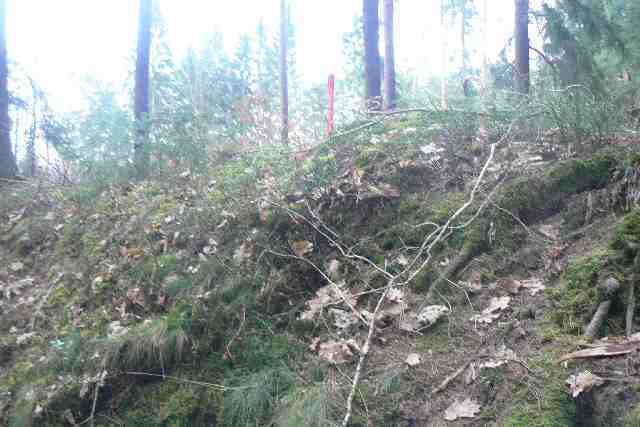 Krátká cesta od Borku po turistických značkách uběhne rychle. Nejdřív se objevil růžový kolík s nápisem ZÁBOR.