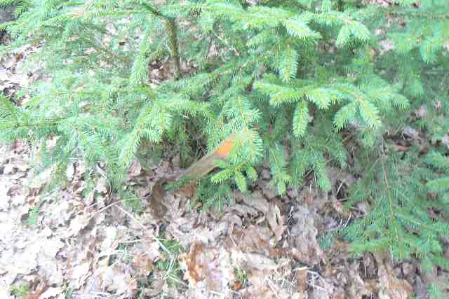 Na místě jsme objevili i jakýsi starší kolík..