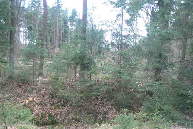 Zde stojíme na stejném místě jako na předchozí fotce. Jen se díváme směrem do ČB, resp. k exitu Úsilné.