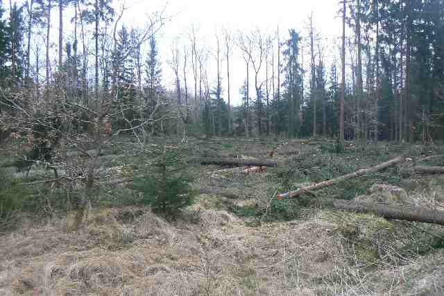 Foceno odhadem od středových svodidel směrem na Prahu.