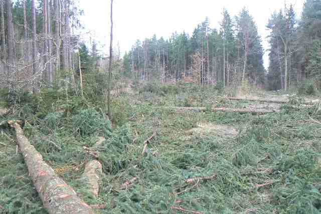 Na kraji průseku i dálnice. Cesta za průsekem vede na Borek. Stojíme odhadem za svodidly, kolem nás by měla jednou svištět auta směrem na Prahu.