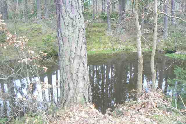 Příroda se asi na tu nekonečnou přípravu a výběr zhotovitele nemohla dívat a sama v předstihu vytvořila retenční nádrž...