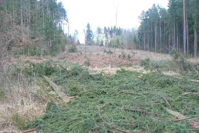 Pohled směrem České Budějovice, resp. MÚK Úsilné. Foceno odhadem od středových svodidel.