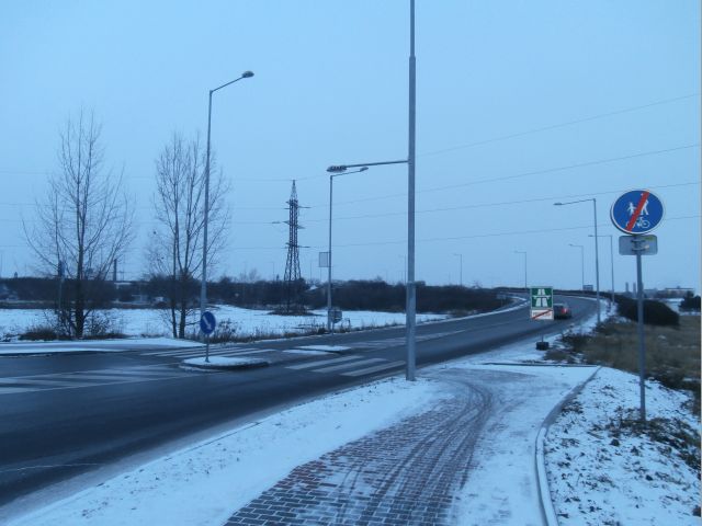 P1040002a.jpg
