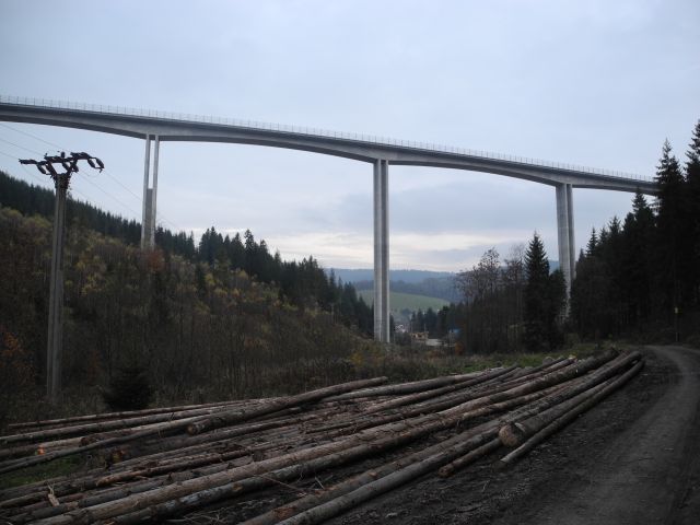 060.JPG